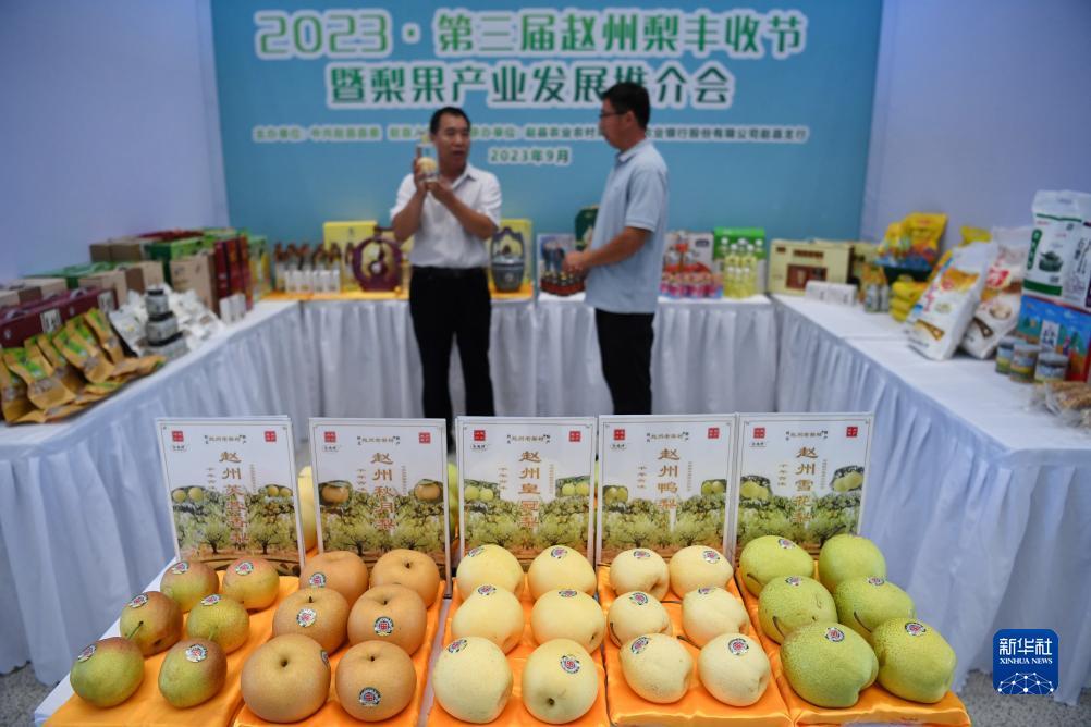新开户游戏送体验金